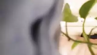 ميلف شهوانية تلعق فرص صديقتها المبلل لتحصل على جائزة إباحية